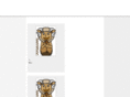 imagesfolder.net