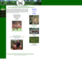 thehunterconsultinggroup.com