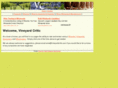 vineyardcritic.com
