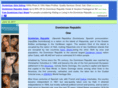 dominicanrepublicone.com