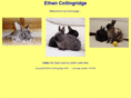 ethancollingridge.com