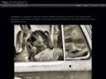 miyaphotography.com