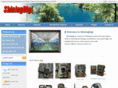 shiningdigi.com