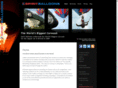 spiritballoons.com