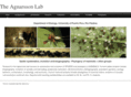 theridiidae.com