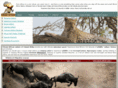 amaniafrika.com