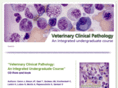 clinpathcd.com