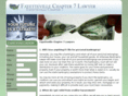 fayettevillechapter7lawyer.com