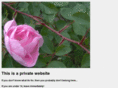 kampkink.com
