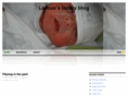 pepite.net