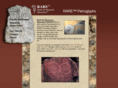 rarepetroglyphs.com