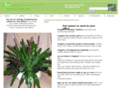 theplant-connection.com