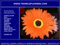 twinkleflowers.com
