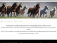 barrelhorsetrainer.com