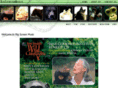 bigscreenmusic.com