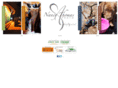blendingartandsoul.com