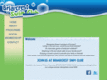 briarcrestswimclub.com