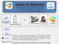 infonetmty.com