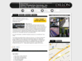 dillonproduction.biz