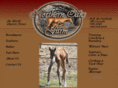 korymerrillquarterhorses.com