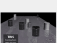 thatstins.com