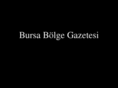 bursabolgegazetesi.com