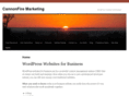 cannonfiremarketing.com