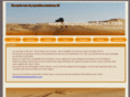 despistesauxdunes.com