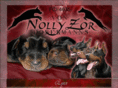nollyzor-dobermanns.com