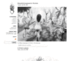 zanziver.com
