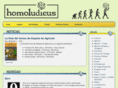 homoludicus.org