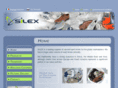 silexshoes.com