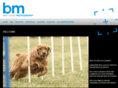 brettmead.co.nz