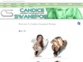 candice-swanepoel.com