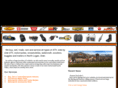 msunleashed.com