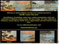 pacificcoastfineart.com