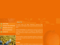 rafex.net
