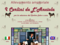 carlinonero.com
