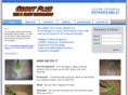 groutpluscleaning.com