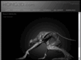 hong3d.com