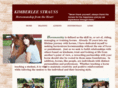 kimberleestrauss.com