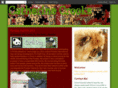 catherinecrooks.com