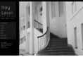 itaylevin.com