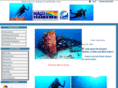 oceandude.com