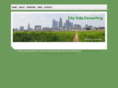 vidaconsulting.com