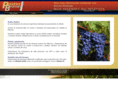 braina.es