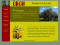 olioil.com