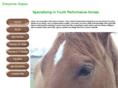 sheyannestepan.com
