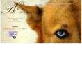 belinha-starr.com