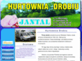 hurtowniajantal.com